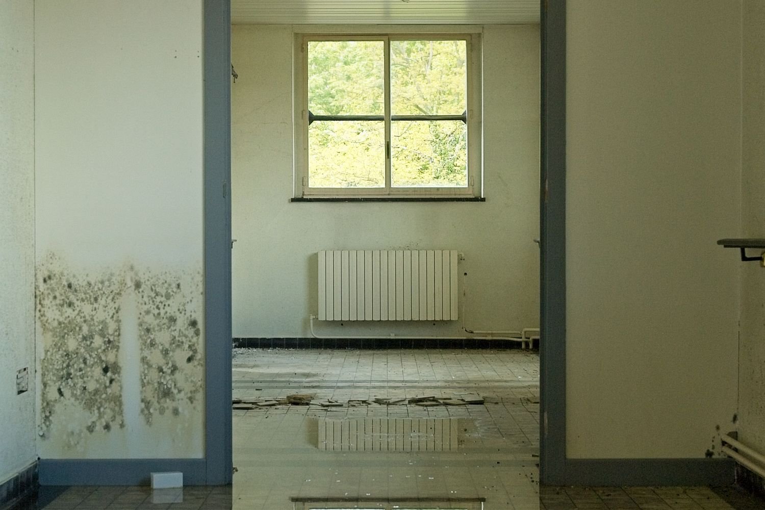 Water-Damage Repairs in Ardsley, NY by Manhattan Kitchen & Bath